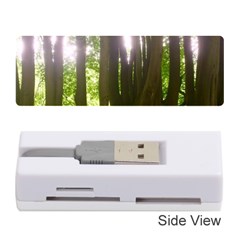 Tree of Trees Memory Card Reader (Stick) 