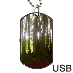 Tree of Trees Dog Tag USB Flash (Two Sides)