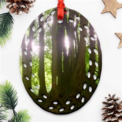 Tree of Trees Oval Filigree Ornament (Two Sides)