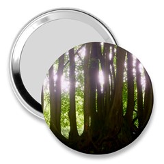 Tree of Trees 3  Handbag Mirrors