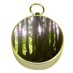 Tree of Trees Gold Compasses