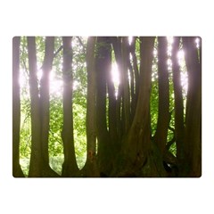 Tree of Trees Double Sided Flano Blanket (Mini) 