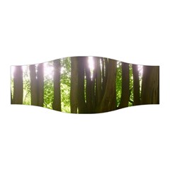 Tree Of Trees Stretchable Headband by DeneWestUK