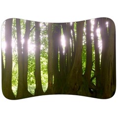 Tree of Trees Velour Seat Head Rest Cushion