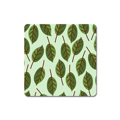 Design Pattern Background Green Square Magnet