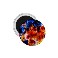 Ornament Color Vivid Pattern Art 1 75  Magnets by Nexatart