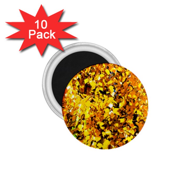 Birch Tree Yellow Leaves 1.75  Magnets (10 pack) 