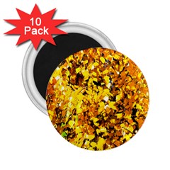 Birch Tree Yellow Leaves 2 25  Magnets (10 Pack)  by FunnyCow