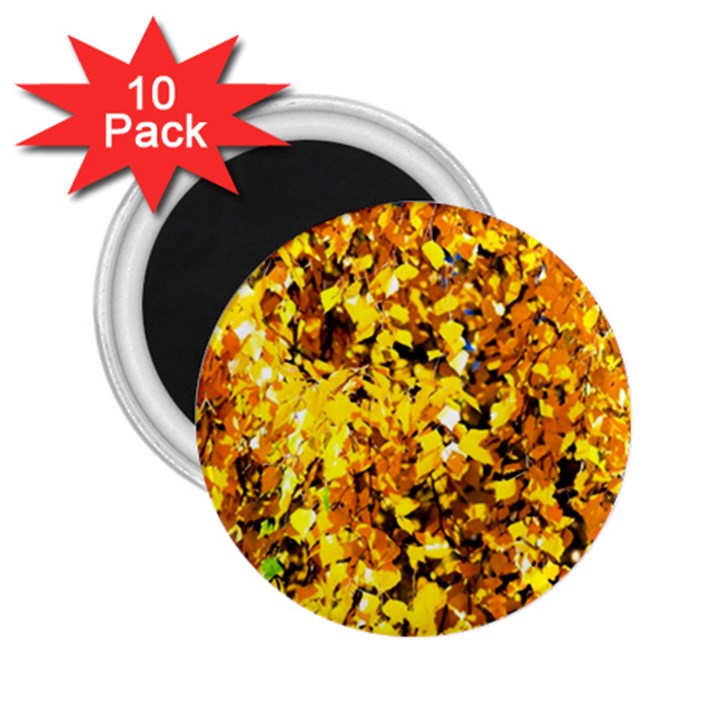 Birch Tree Yellow Leaves 2.25  Magnets (10 pack) 