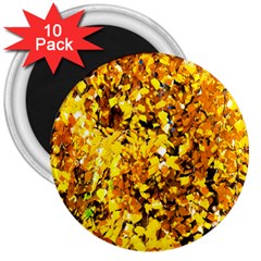 Birch Tree Yellow Leaves 3  Magnets (10 Pack)  by FunnyCow