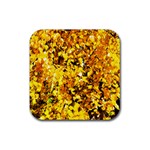 Birch Tree Yellow Leaves Rubber Coaster (Square)  Front