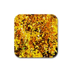 Birch Tree Yellow Leaves Rubber Square Coaster (4 Pack)  by FunnyCow