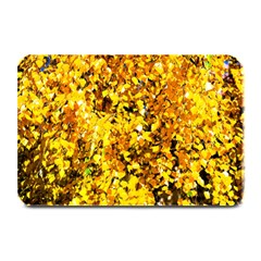 Birch Tree Yellow Leaves Plate Mats by FunnyCow