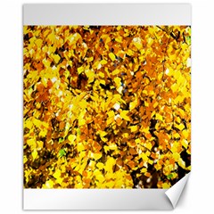 Birch Tree Yellow Leaves Canvas 11  X 14   by FunnyCow