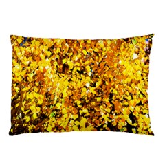 Birch Tree Yellow Leaves Pillow Case by FunnyCow