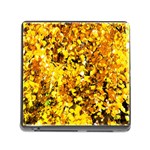 Birch Tree Yellow Leaves Memory Card Reader (Square 5 Slot) Front