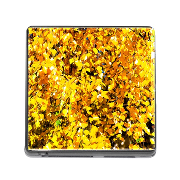 Birch Tree Yellow Leaves Memory Card Reader (Square 5 Slot)