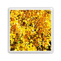 Birch Tree Yellow Leaves Memory Card Reader (square) by FunnyCow