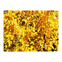 Birch Tree Yellow Leaves Double Sided Flano Blanket (mini)  by FunnyCow