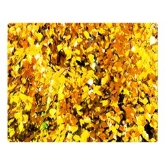 Birch Tree Yellow Leaves Double Sided Flano Blanket (large)  by FunnyCow