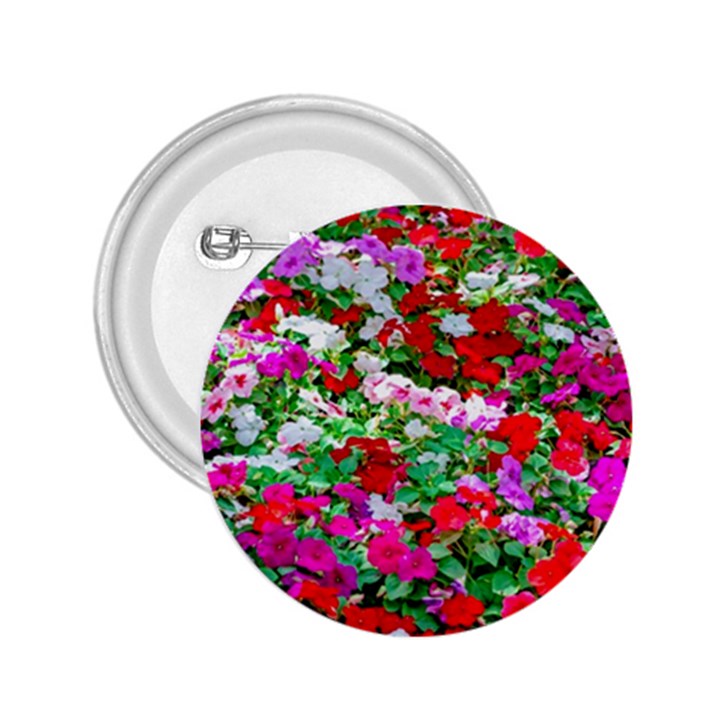 Colorful Petunia Flowers 2.25  Buttons