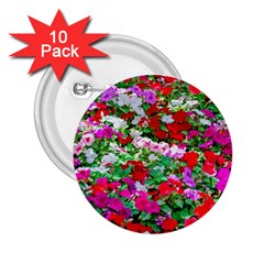 Colorful Petunia Flowers 2 25  Buttons (10 Pack)  by FunnyCow