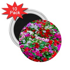 Colorful Petunia Flowers 2 25  Magnets (10 Pack)  by FunnyCow