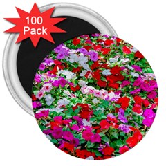 Colorful Petunia Flowers 3  Magnets (100 Pack) by FunnyCow