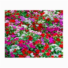 Colorful Petunia Flowers Small Glasses Cloth by FunnyCow