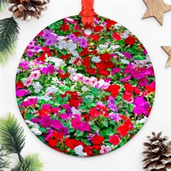 Colorful Petunia Flowers Round Ornament (two Sides) by FunnyCow