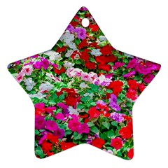 Colorful Petunia Flowers Star Ornament (two Sides) by FunnyCow