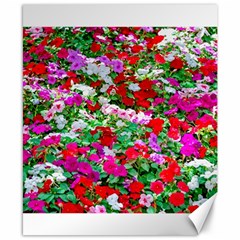 Colorful Petunia Flowers Canvas 8  X 10  by FunnyCow