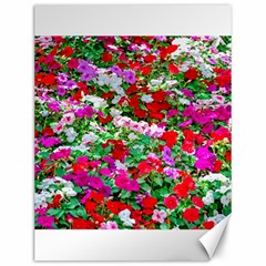 Colorful Petunia Flowers Canvas 12  X 16   by FunnyCow