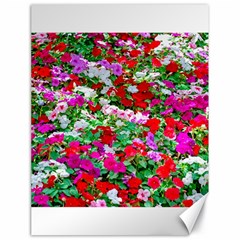 Colorful Petunia Flowers Canvas 18  X 24   by FunnyCow