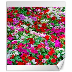 Colorful Petunia Flowers Canvas 20  X 24   by FunnyCow