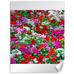 Colorful Petunia Flowers Canvas 36  X 48   by FunnyCow