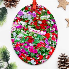 Colorful Petunia Flowers Ornament (oval Filigree) by FunnyCow