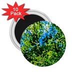 Forest   Strain Towards The Light 2.25  Magnets (10 pack)  Front