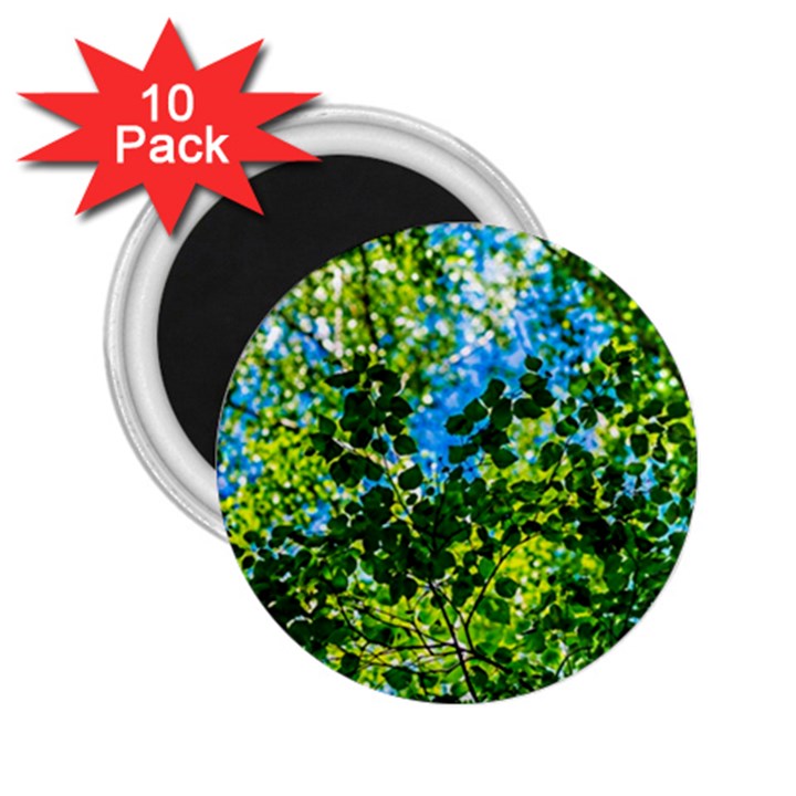 Forest   Strain Towards The Light 2.25  Magnets (10 pack) 