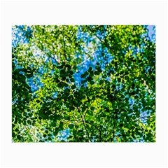 Forest   Strain Towards The Light Small Glasses Cloth (2-side) by FunnyCow