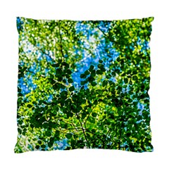 Forest   Strain Towards The Light Standard Cushion Case (one Side) by FunnyCow