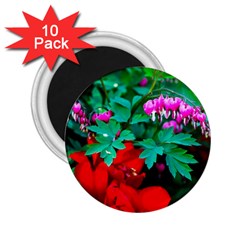 Bleeding Heart Flowers 2 25  Magnets (10 Pack)  by FunnyCow