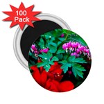 Bleeding Heart Flowers 2.25  Magnets (100 pack)  Front