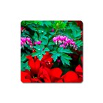 Bleeding Heart Flowers Square Magnet Front