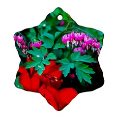 Bleeding Heart Flowers Ornament (snowflake) by FunnyCow