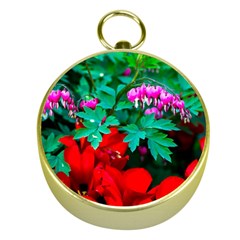 Bleeding Heart Flowers Gold Compasses by FunnyCow