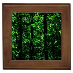 Emerald Forest Framed Tiles by FunnyCow