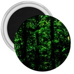 Emerald Forest 3  Magnets Front