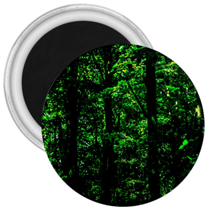 Emerald Forest 3  Magnets