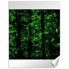 Emerald Forest Canvas 12  X 16   by FunnyCow